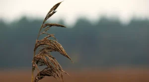 Avrupa’da Gezilecek En Romantik Şehirler ve Çiftler İçin Unutulmaz Anılar