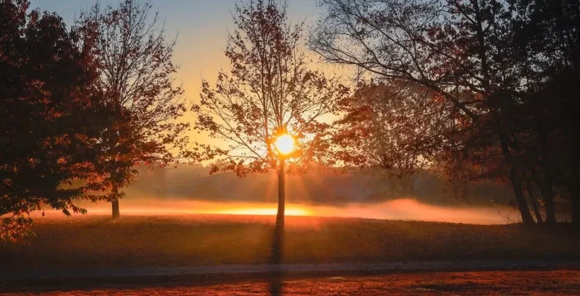 Yeni Bir Dil Öğrenmeye Başlamak İçin Kullanılabilecek En Kolay ve Etkili Yöntemler