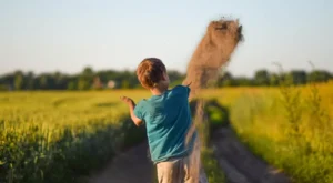 Minimalist Yaşam Tarzıyla Fazlalıklardan Kurtulup Daha Huzurlu ve Özgür Bir Hayata Nasıl Adım Atabilirsiniz?